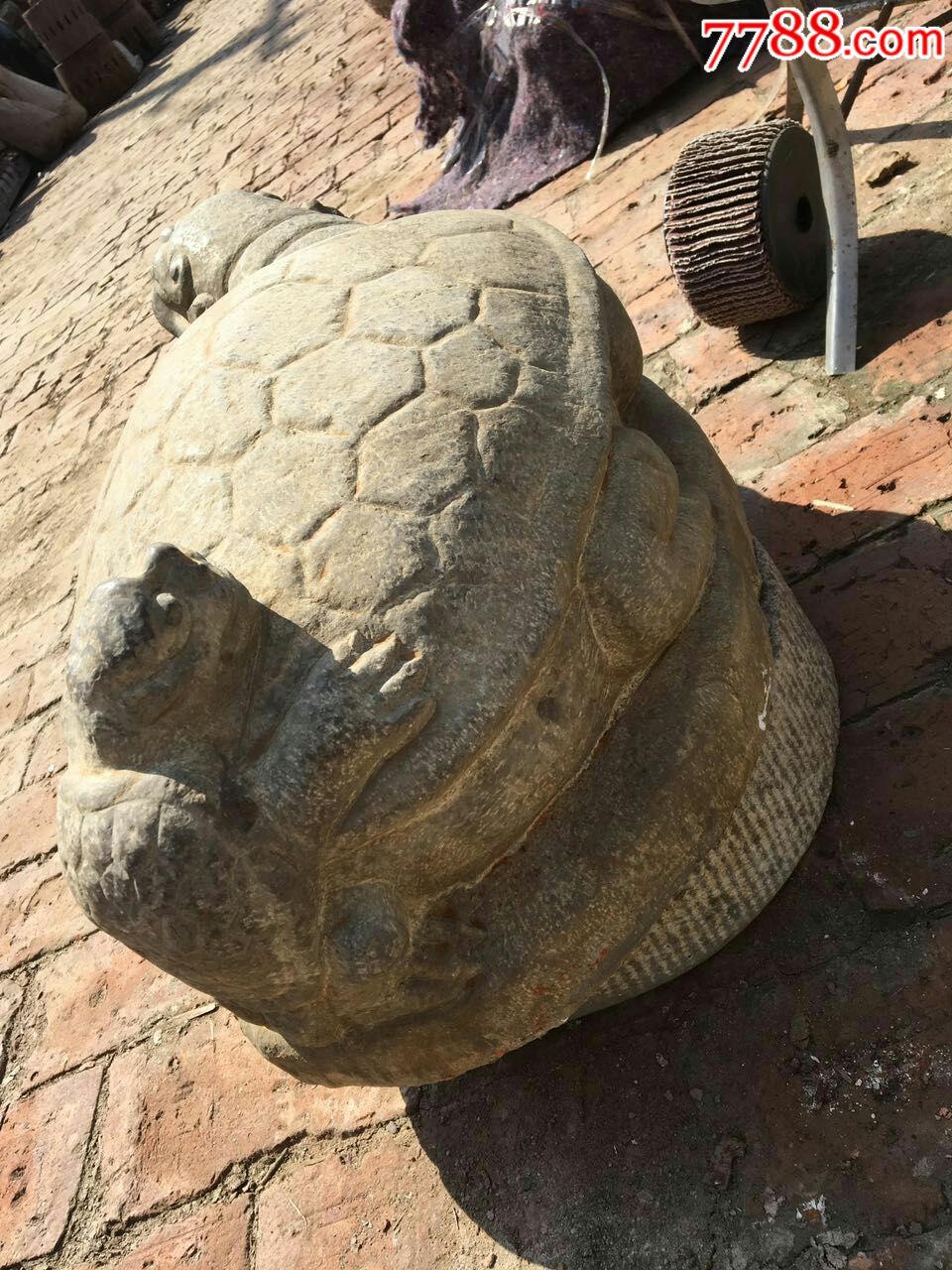 清代青石石龟