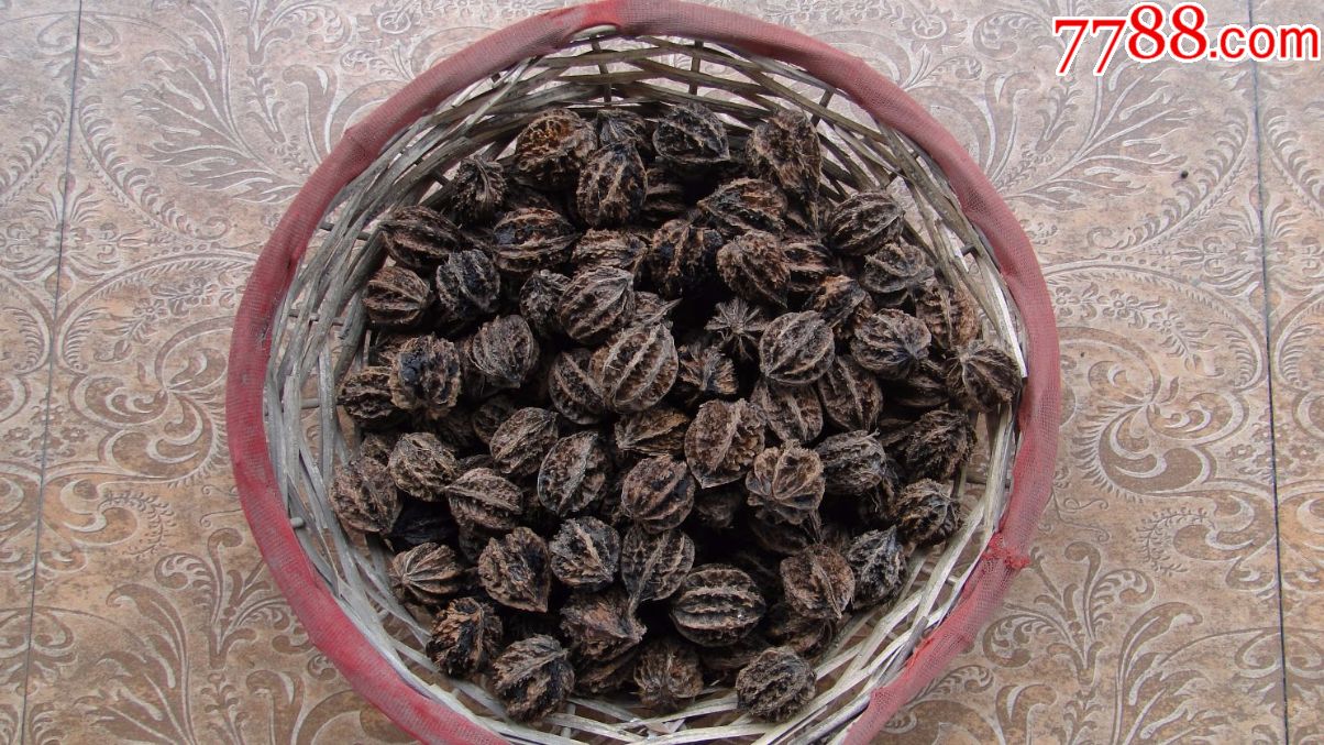 野山核桃手串把玩野生手持文玩核桃野生野山核桃野生山核桃一对8元