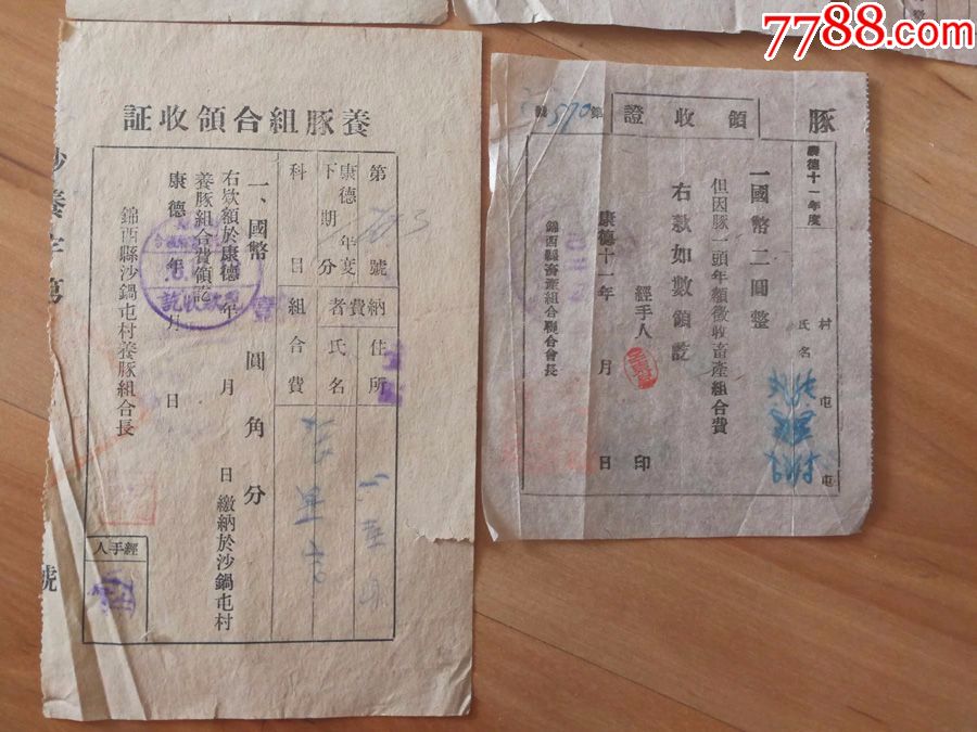 满洲国锦西县养猪各种苛捐杂税领收证收据一组5枚同一人