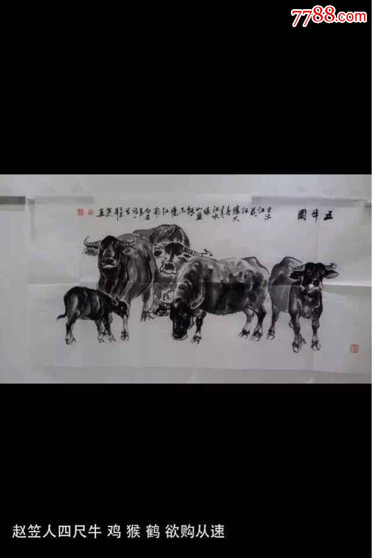 王雁画牛图片