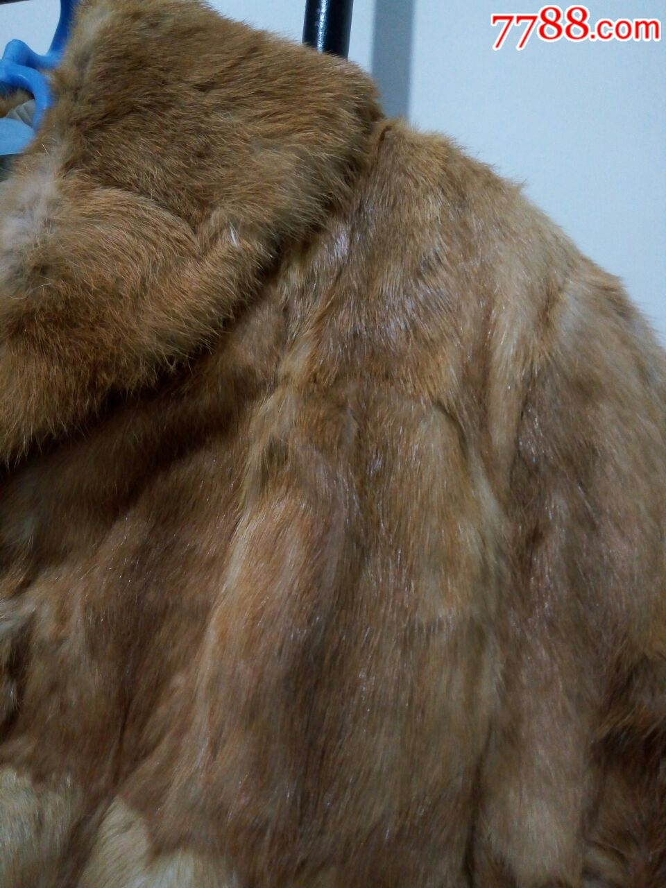 老的黄鼠狼毛皮大衣,老裘皮