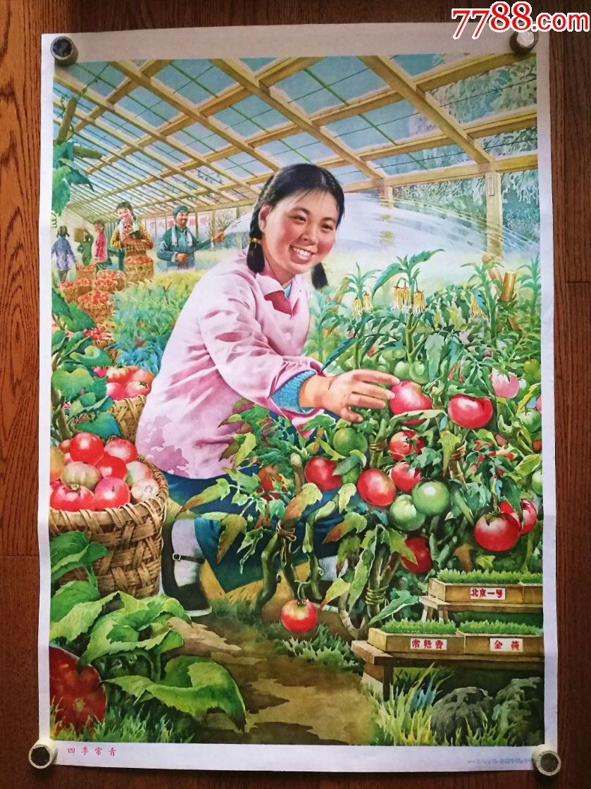 美品农业科技学大寨题材