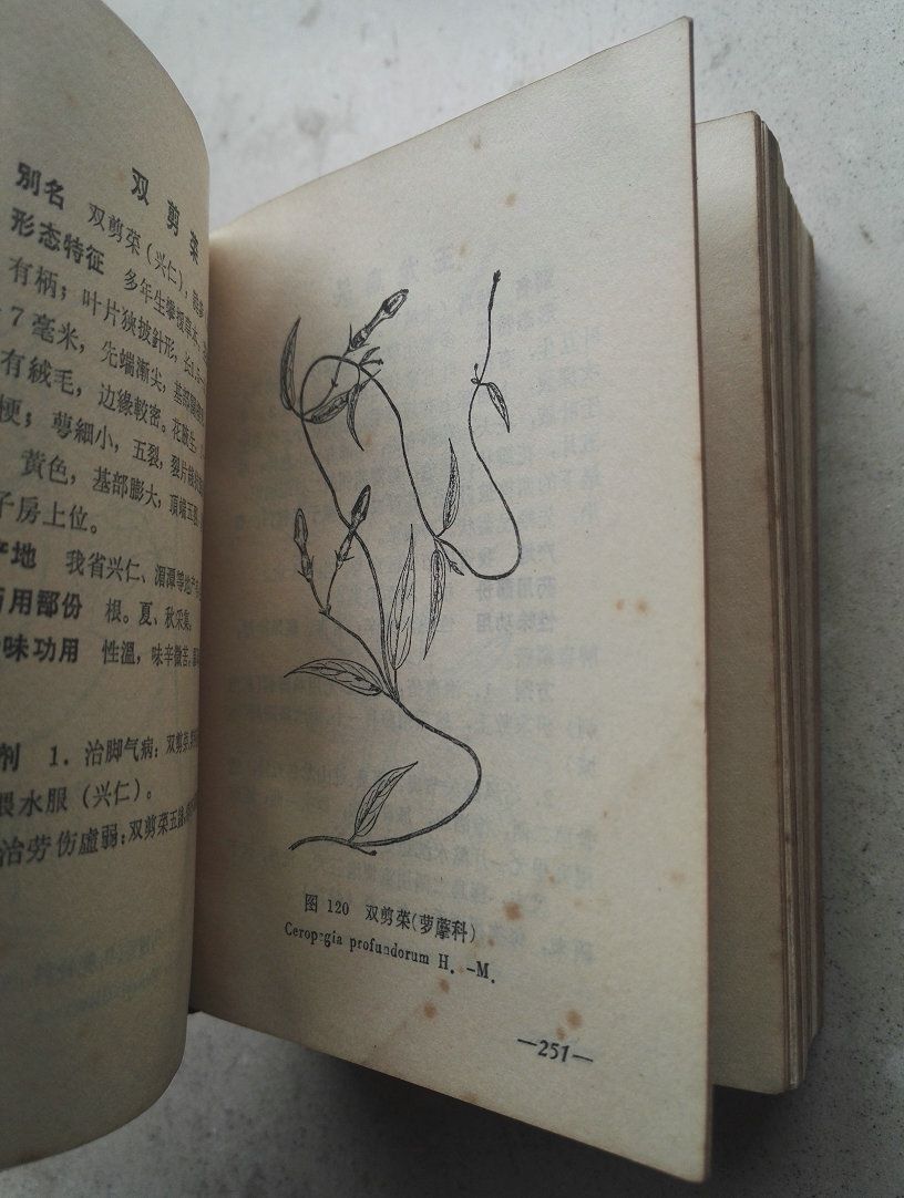 1970年《贵州草药》