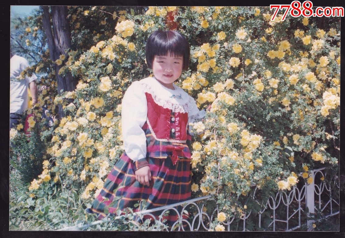 小女孩花丛里留影