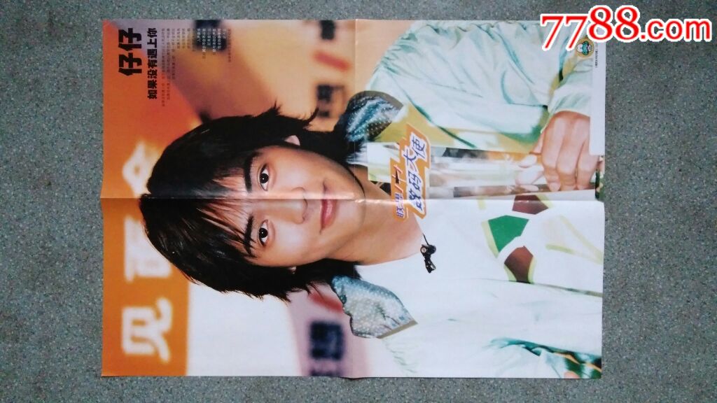 音乐海报仔仔f4天堂鸟大嘴鳄鱼当代歌坛no1864开85品