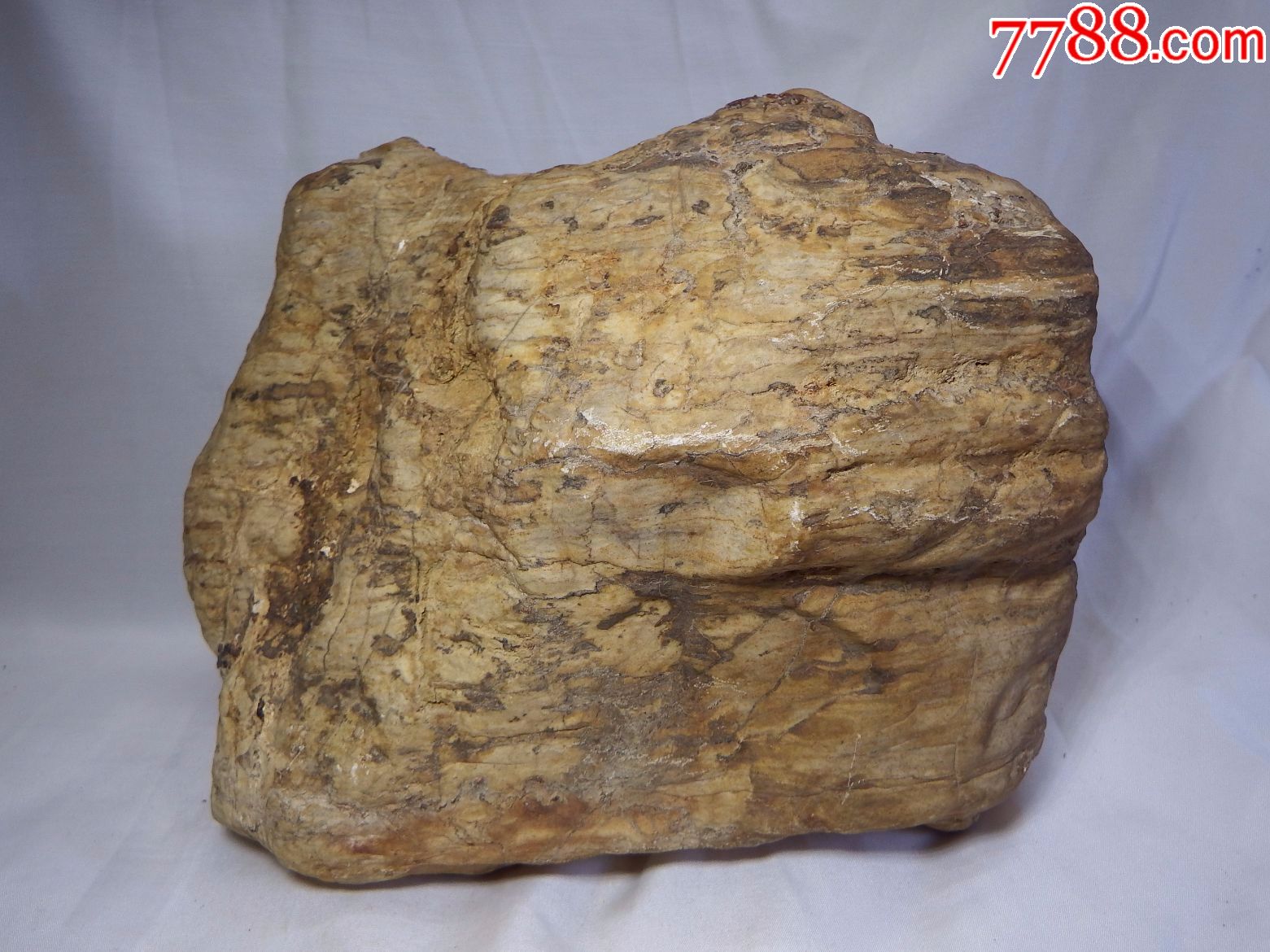 黄金陨石带极罕见神秘能量陨石