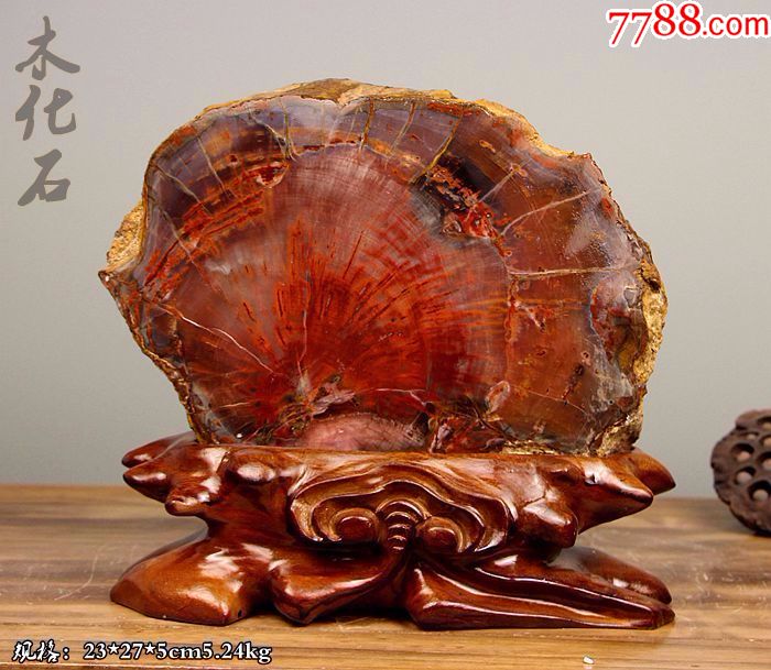 奇石新款木化石树化玉新疆硅化木树红碧玉原石头红皮木化石53