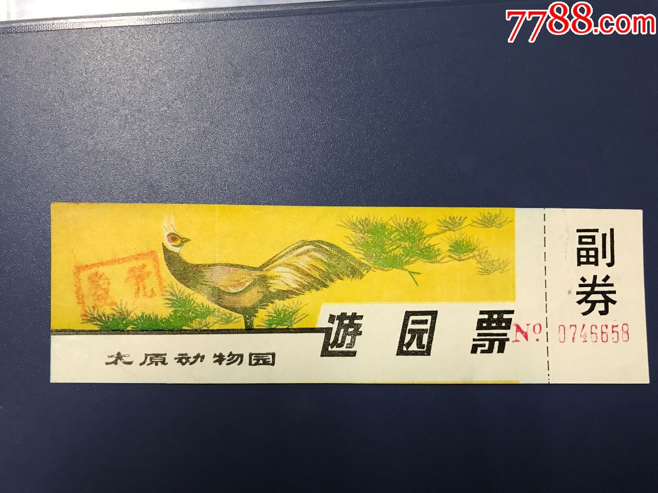 太原动物园-价格:15元-se55323055-旅游景点门票-零售-7788收藏__收藏