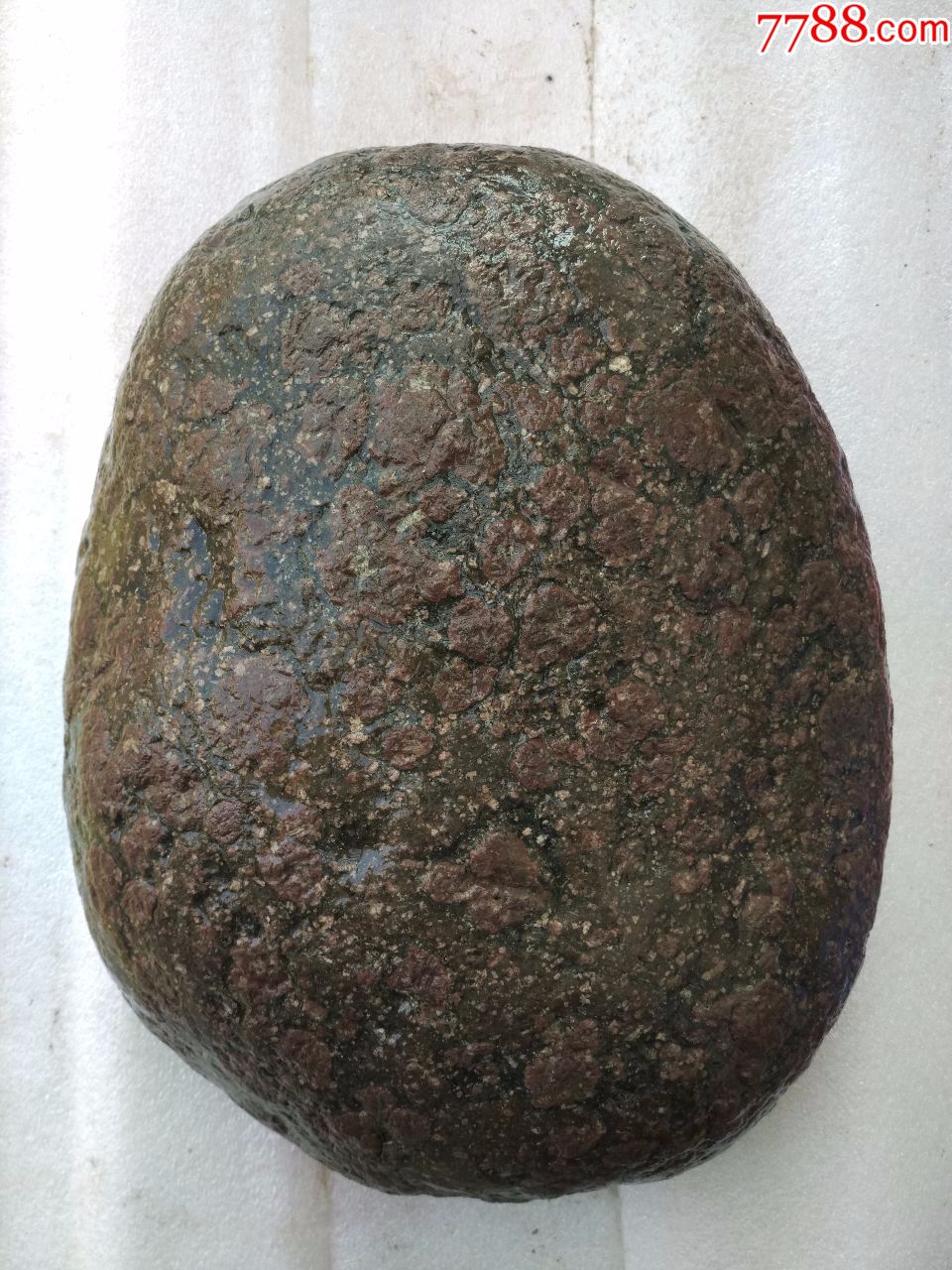 洛阳奇石新品"金钱石"原石1号(石型完美,重约28斤)