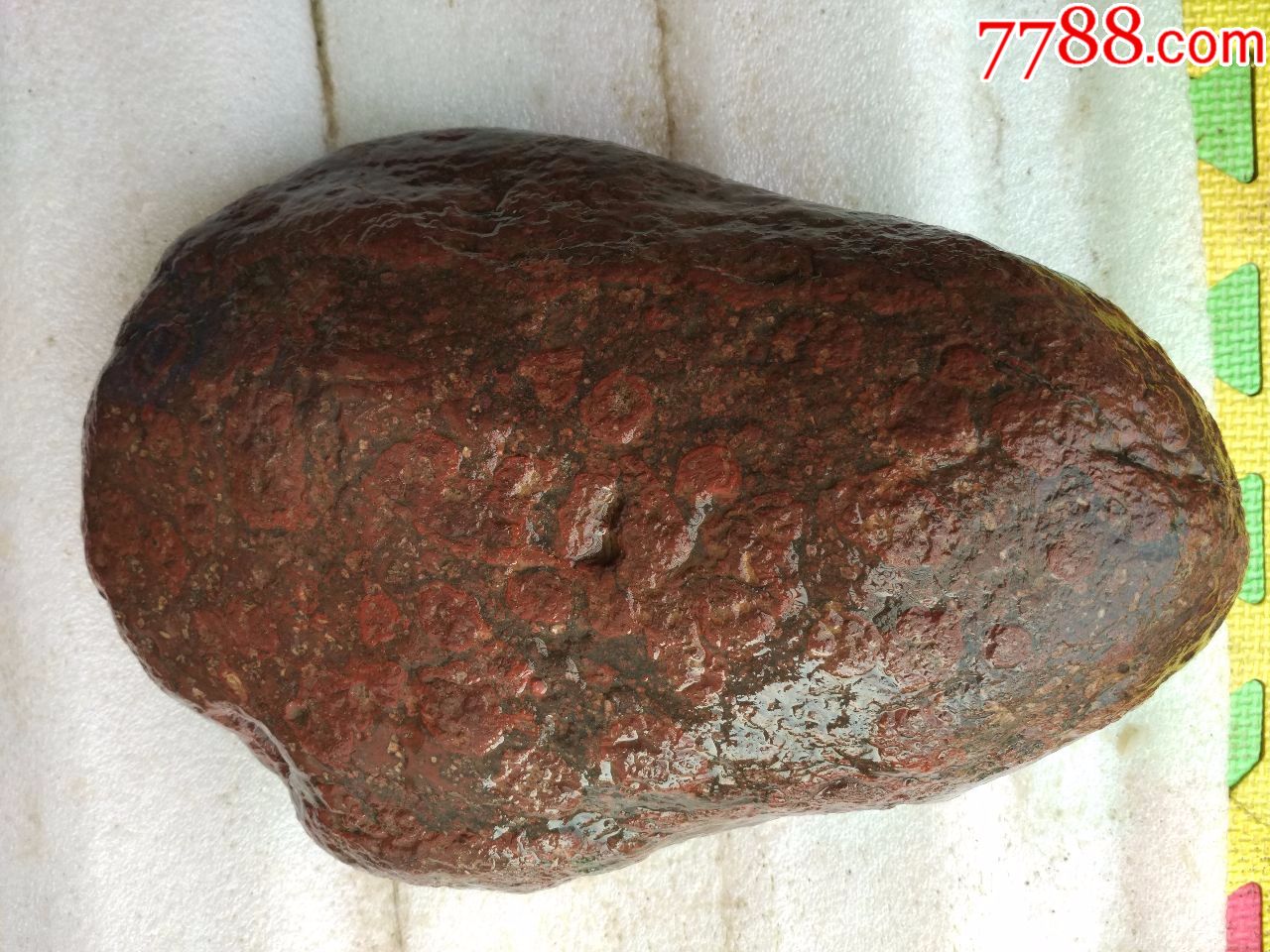 洛阳奇石新品金钱石原石14号金蟾进宝