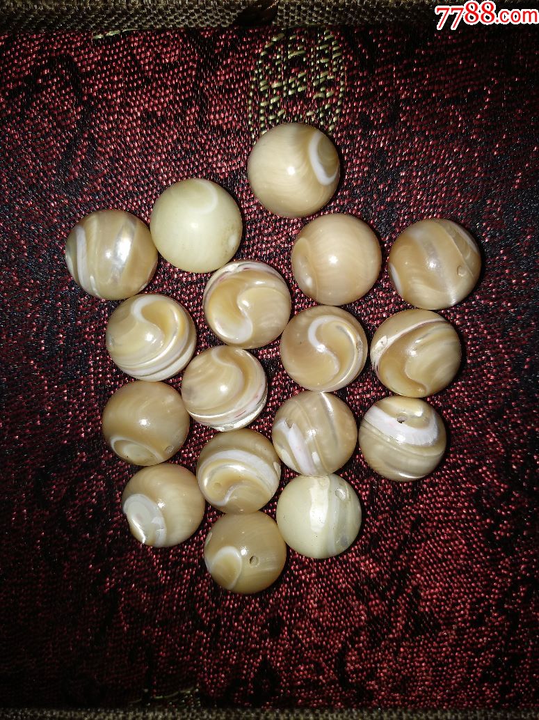 贝壳珠子
