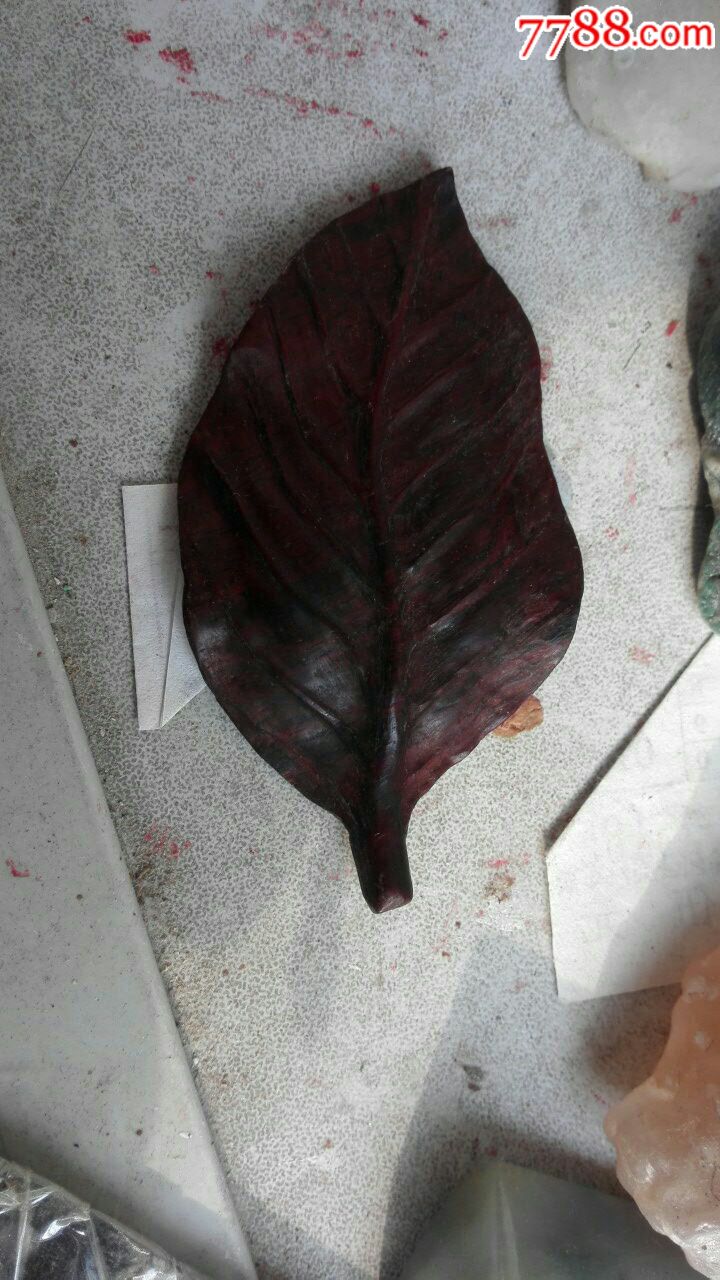 红木树叶
