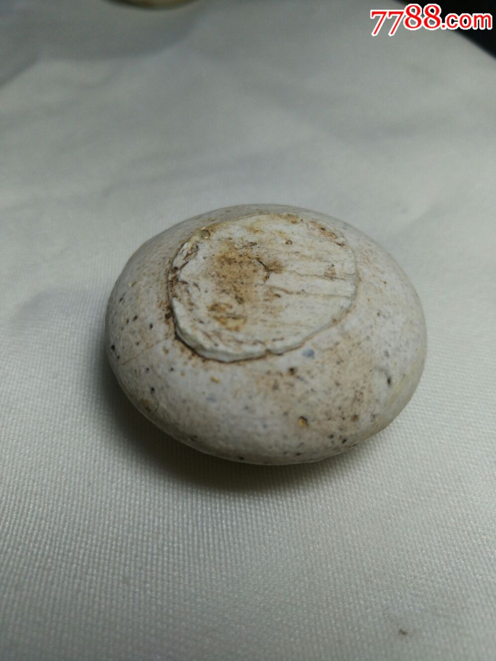 宋代当阳峪窑白釉水盂-单色白瓷-7788白瓷收藏