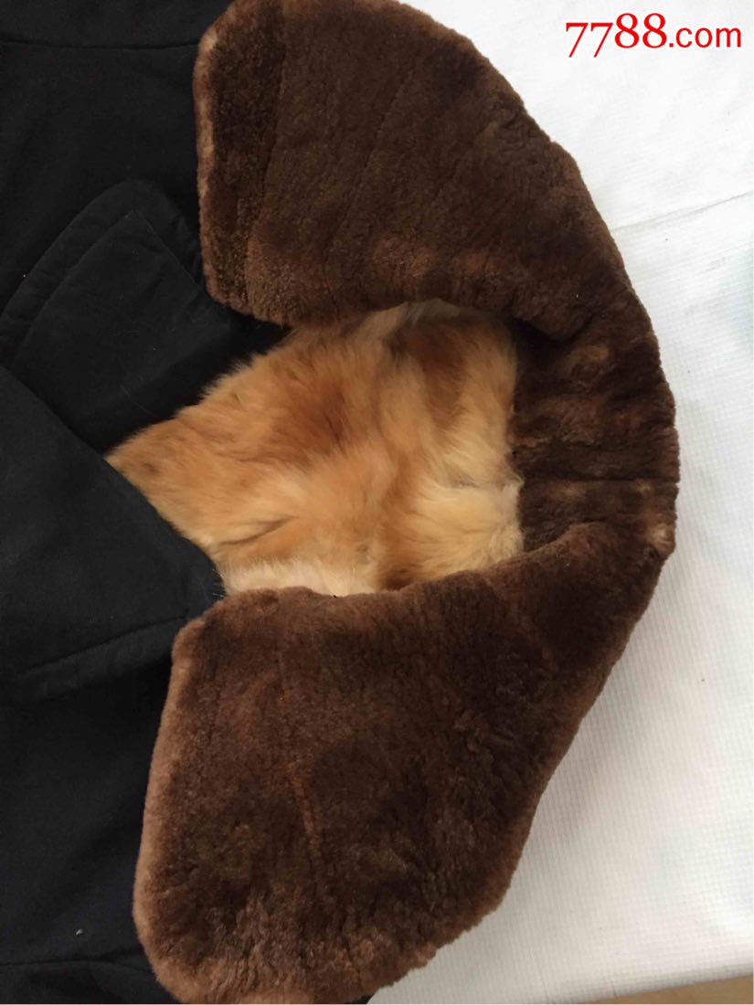 民国好品貉绒水獭领裘皮大衣