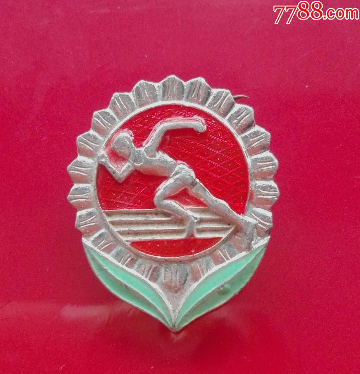 国家体育锻炼标准证章少年1组