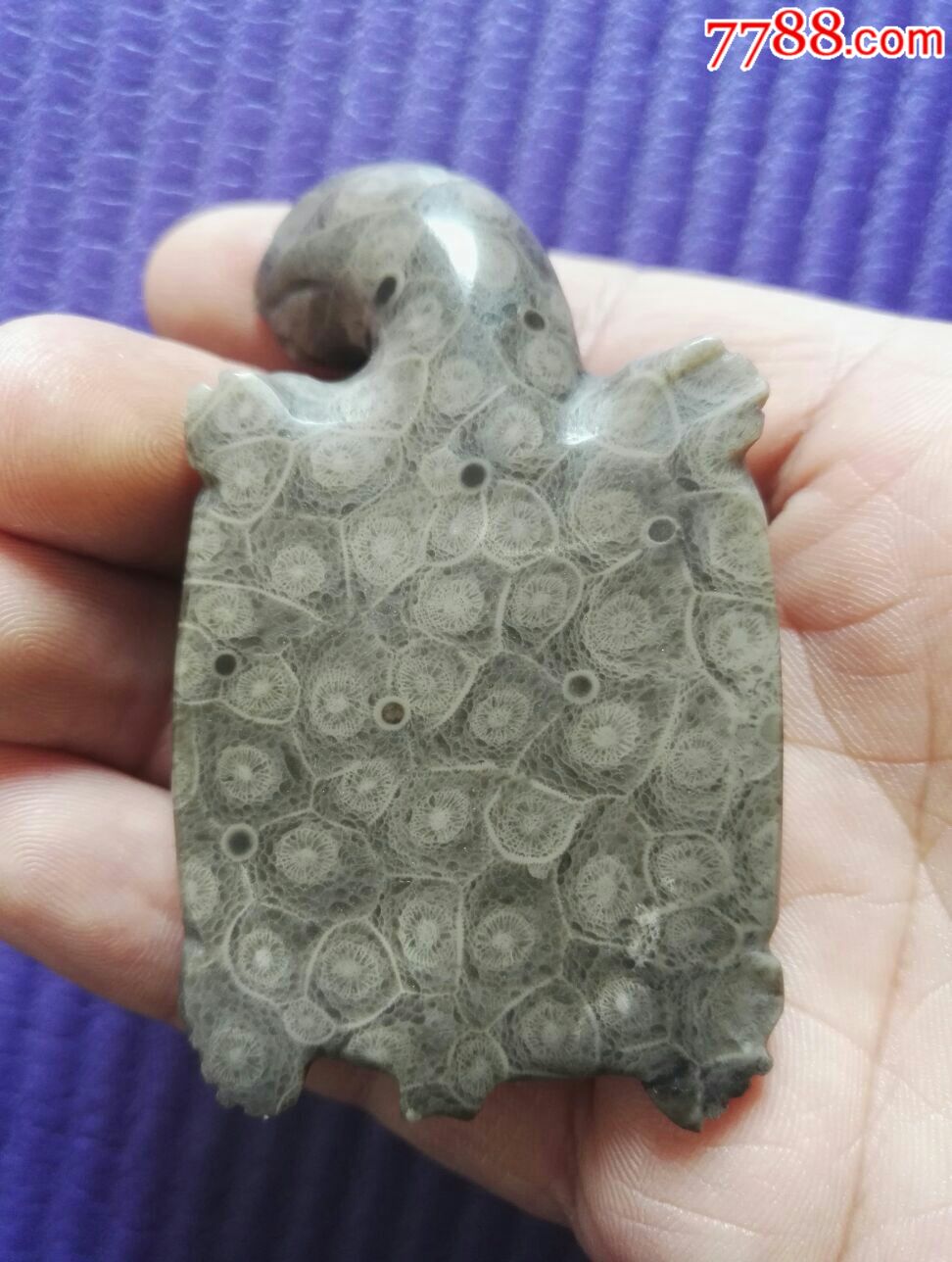 四川中江菊花石_菊花石_产地图片_收藏价值_7788奇石收藏