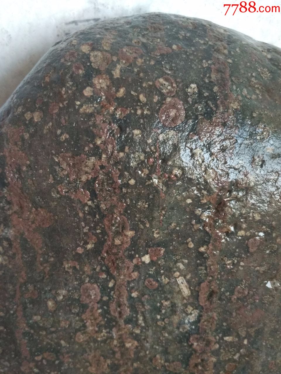 洛阳梅花石原石"铁骨红梅"(高约39厘米,重约35斤)