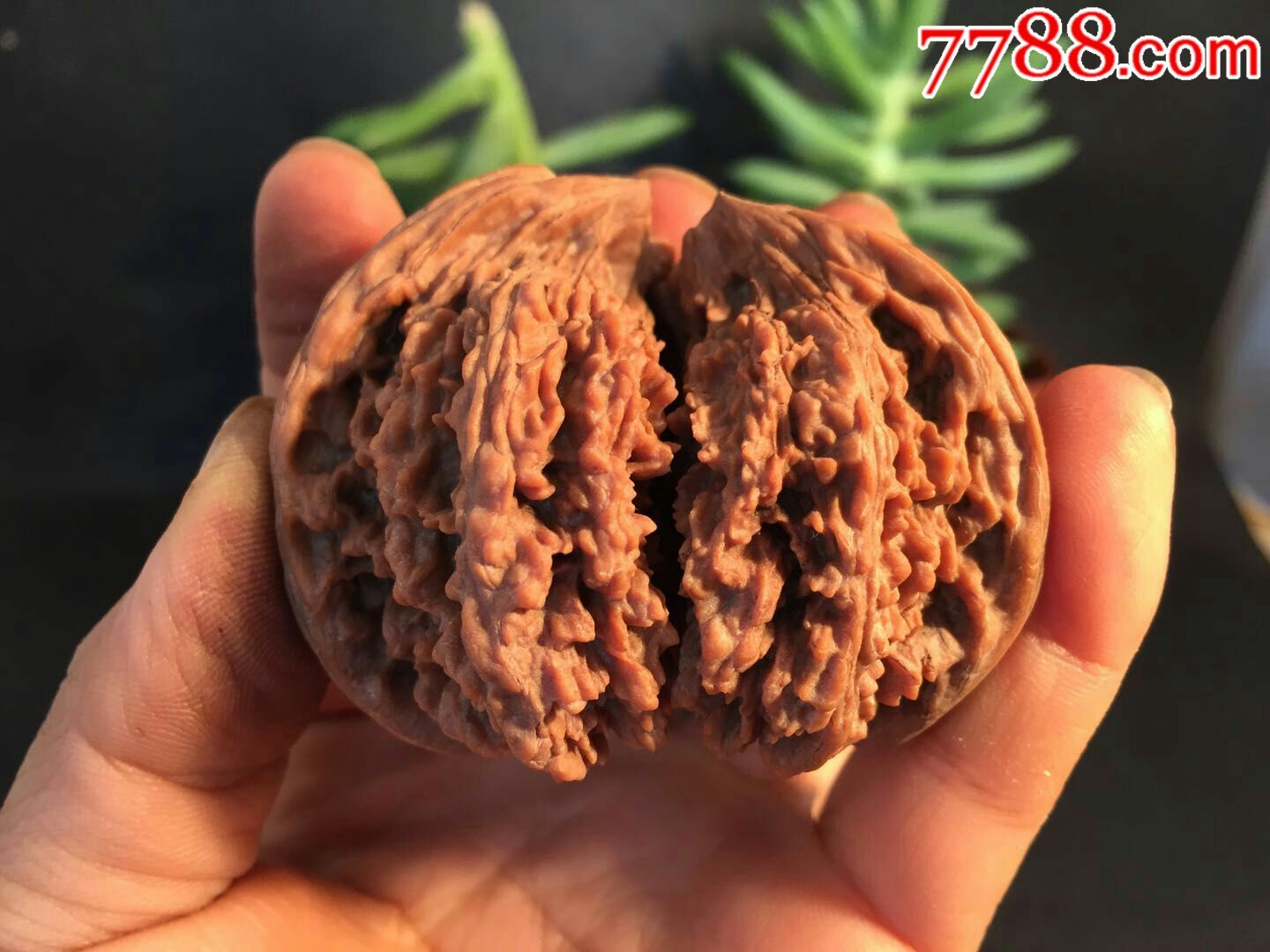 文玩核桃,核桃文玩,麻核桃,满天星,四座楼狮子头_文玩核桃_品种图片