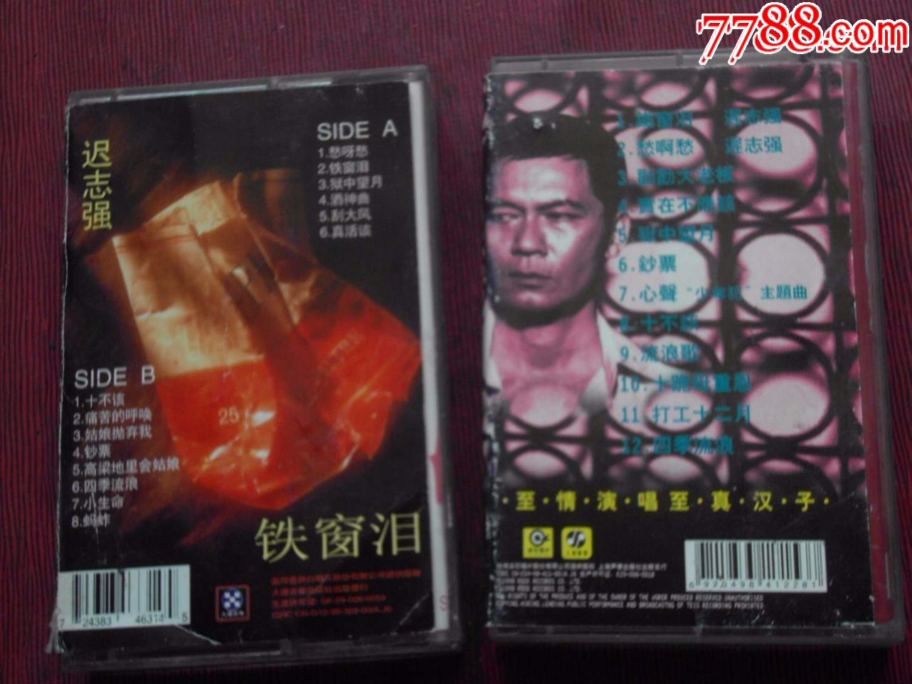 铁窗的泪-伤感的歌-迟志强--(10个以上免快递!)