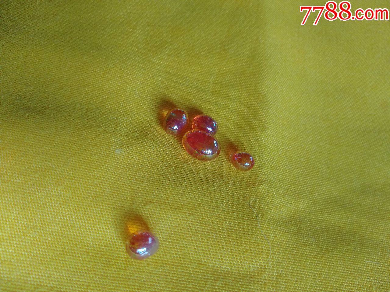 舍利子之血舍利子