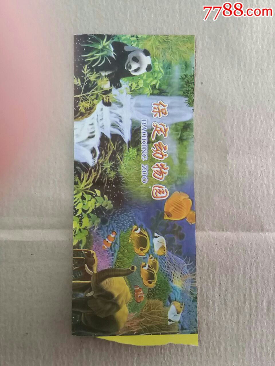 保定动物园券无副券
