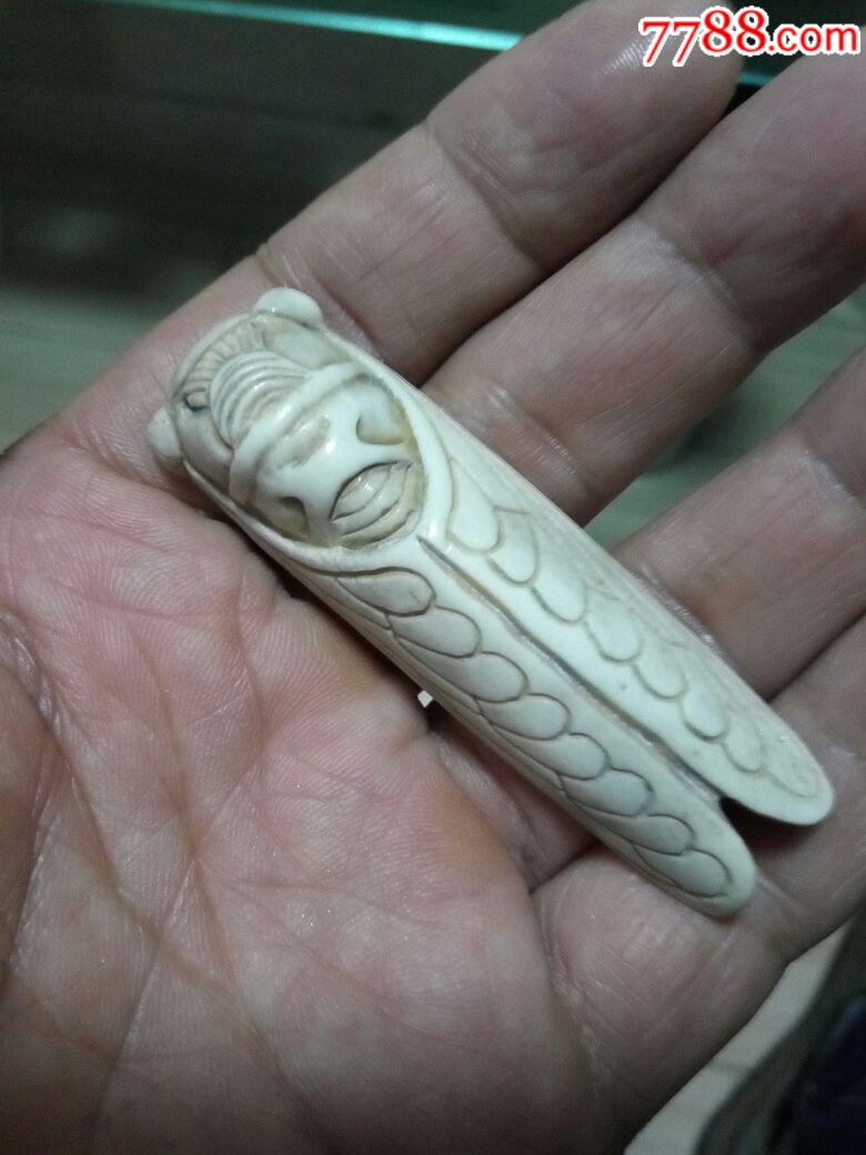 骨刻蝉(功法飘亮)_骨雕_真诚第一【7788收藏__中国收藏热线】