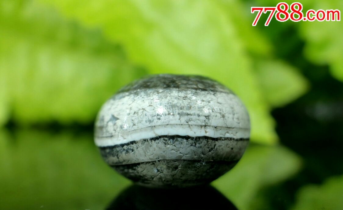 藏传火供千年一线老药师珠