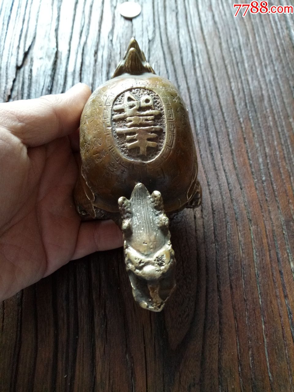纯铜长寿龟_价格120元_第1张_7788收藏__收藏热线