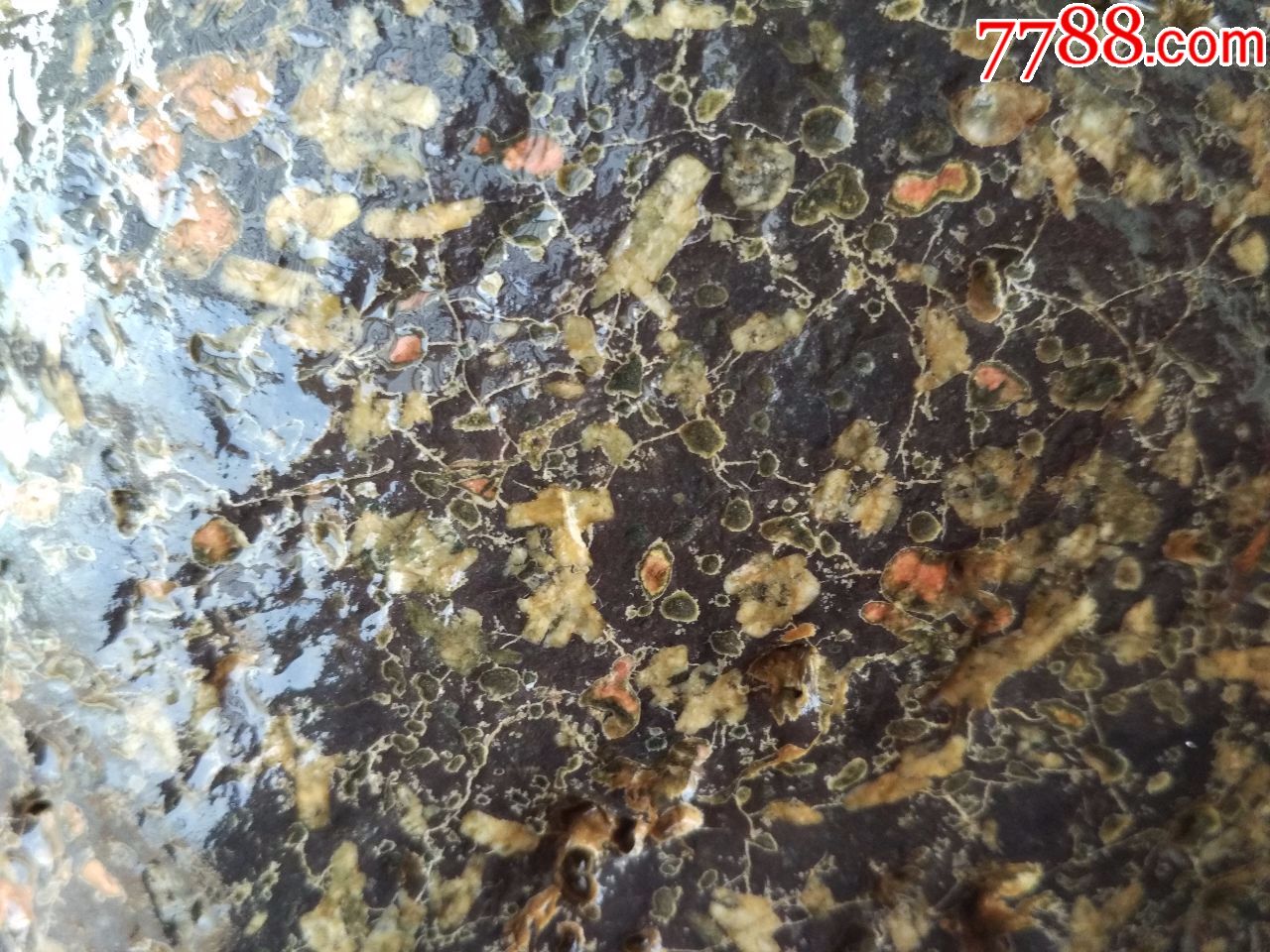 洛阳精品梅花玉原石2石型完整重达56斤银线玉坑缠丝网纹细看最美