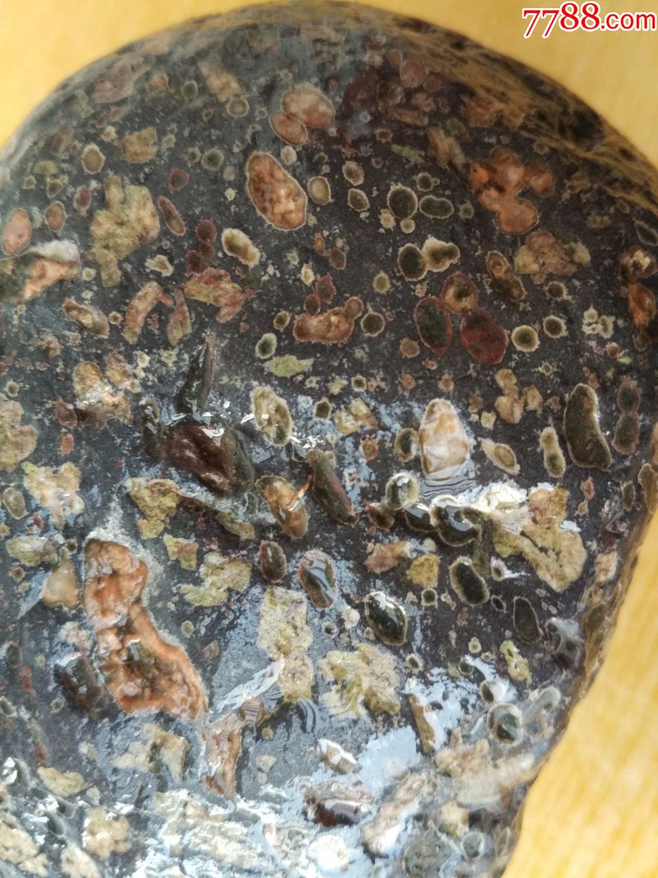 洛阳精品梅花玉原石21(红绿双色老玉坑)