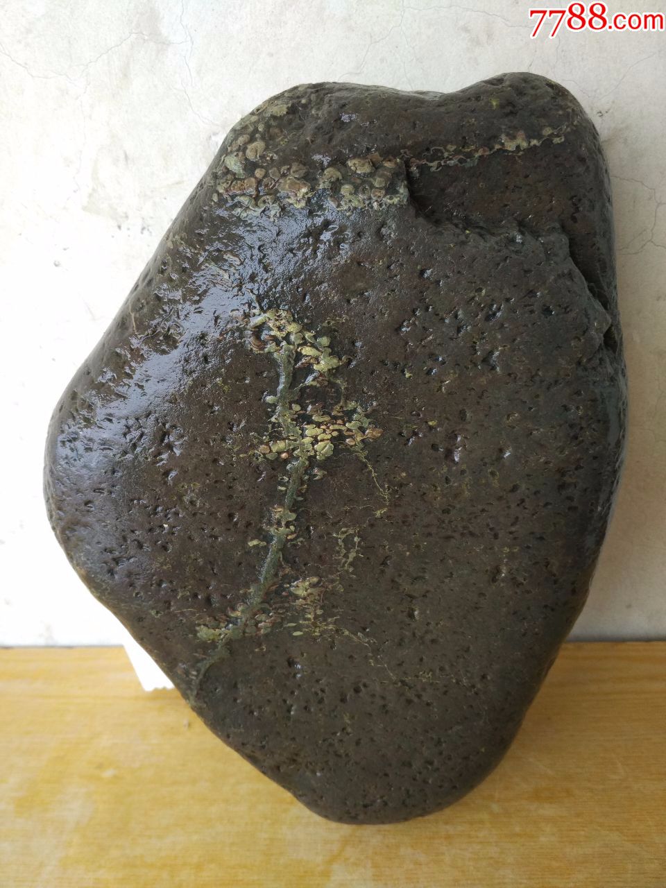 洛阳精品梅花石原石"古梅清幽暗香来"(酱色底石,古色梅花,别具一格)