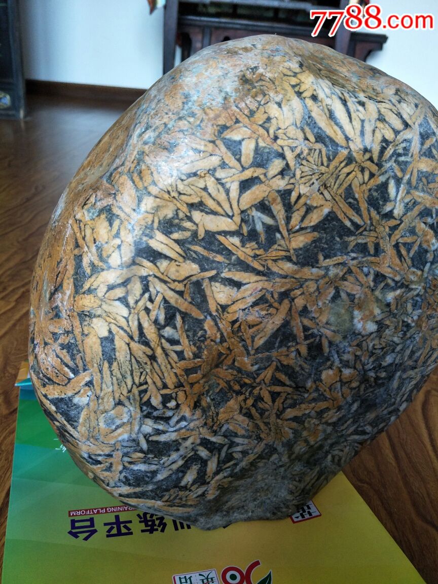 天然竹叶石-精品少见品_其他奇石/岩石【大唐古泉】_第3张_7788期刊网