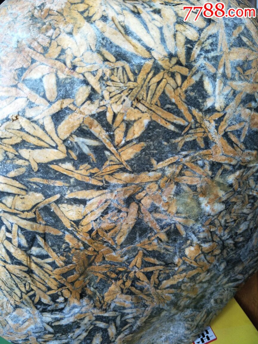 天然竹叶石-精品少见品_其他奇石/岩石【大唐古泉】_第6张_7788期刊网