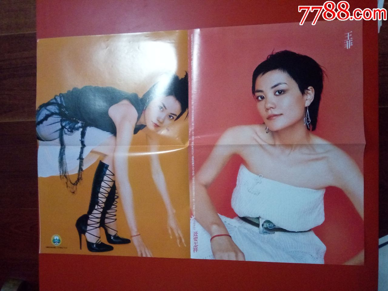 明星海报《王力宏》《王菲》