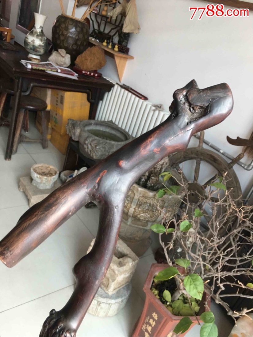 花椒杆子老拐棍儿