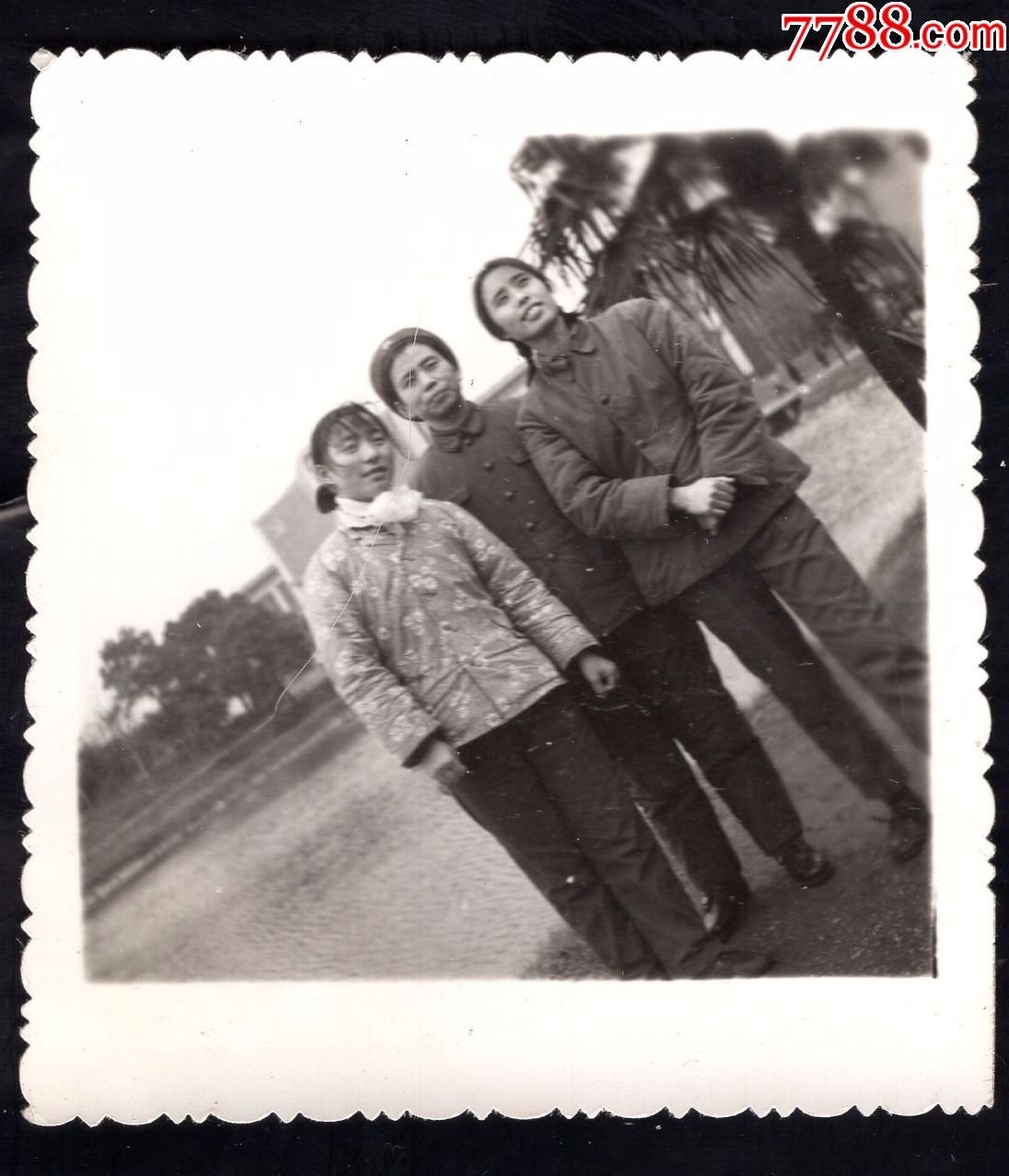 店内编号:58 品种: 老照片-老照片 属性: 小型合影照,77-79年,,,黑白