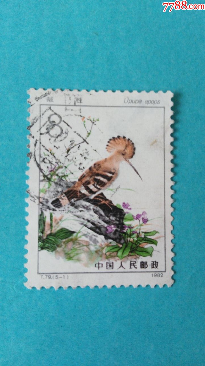 散票--t79益鸟5-1(信销票1枚)_新中国邮票_永佳收藏乐园【7788收藏