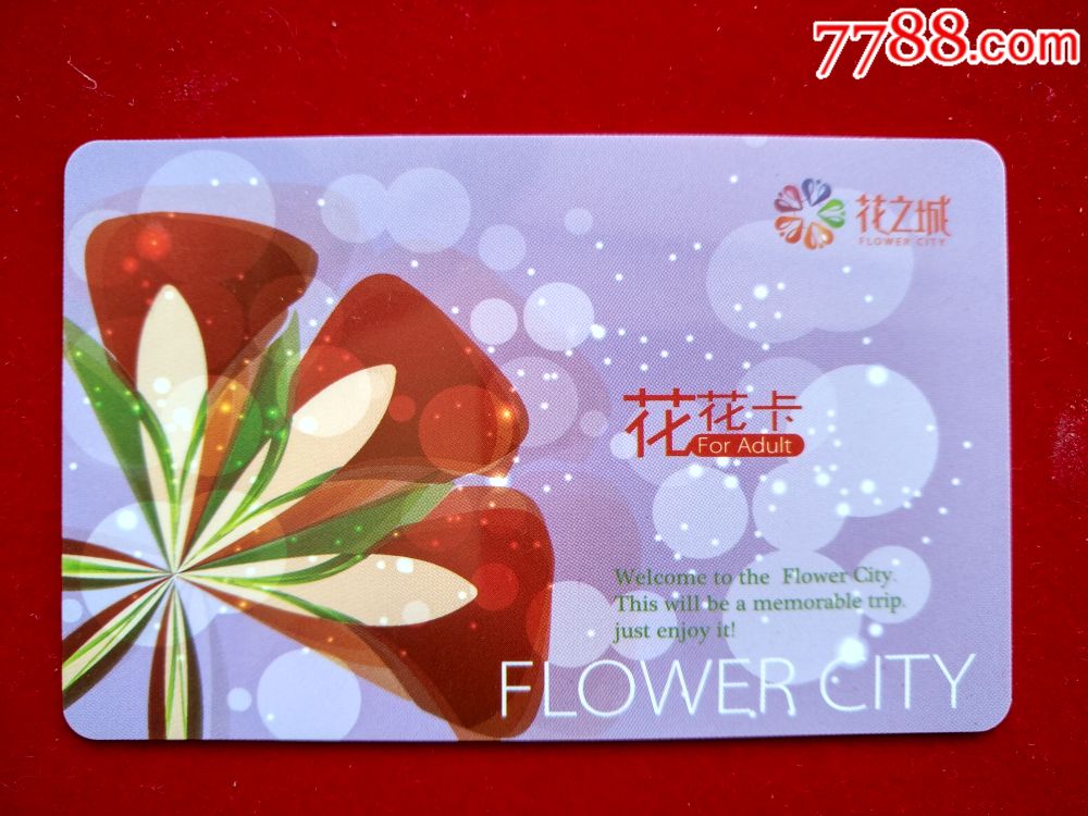 花之城_门票卡_玩家淘坊【7788收藏__收藏热线】