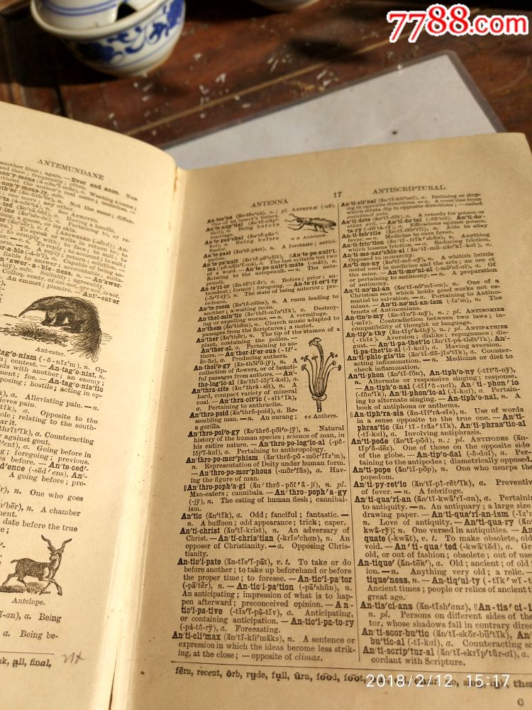 185年英文自然动物类字典