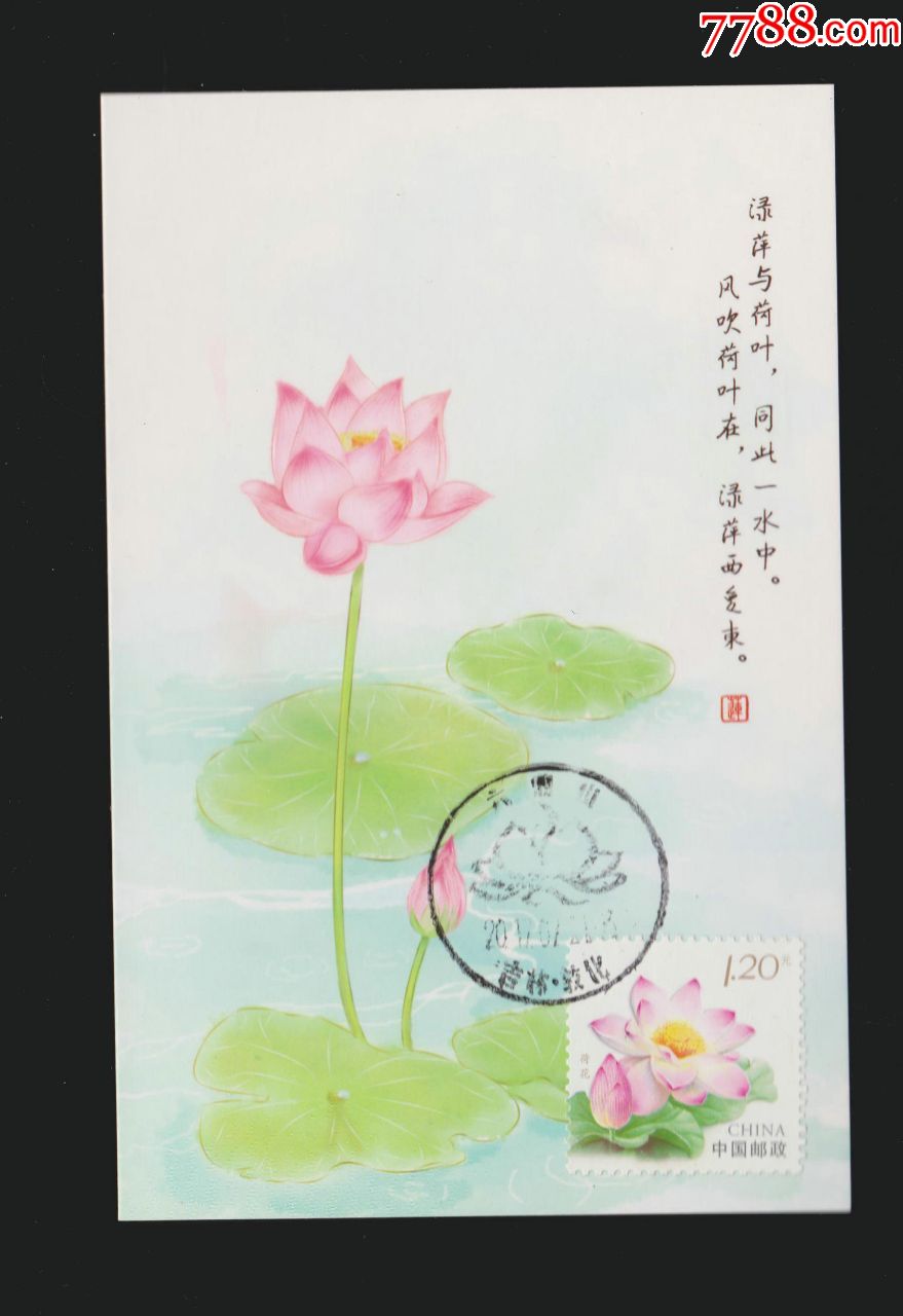 荷花极限片(销六鼎山祈福邮局戳,戳不清楚)