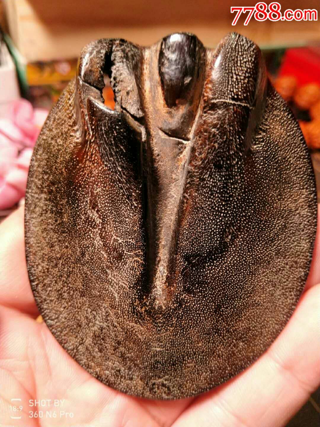 黑驴蹄子—笔架