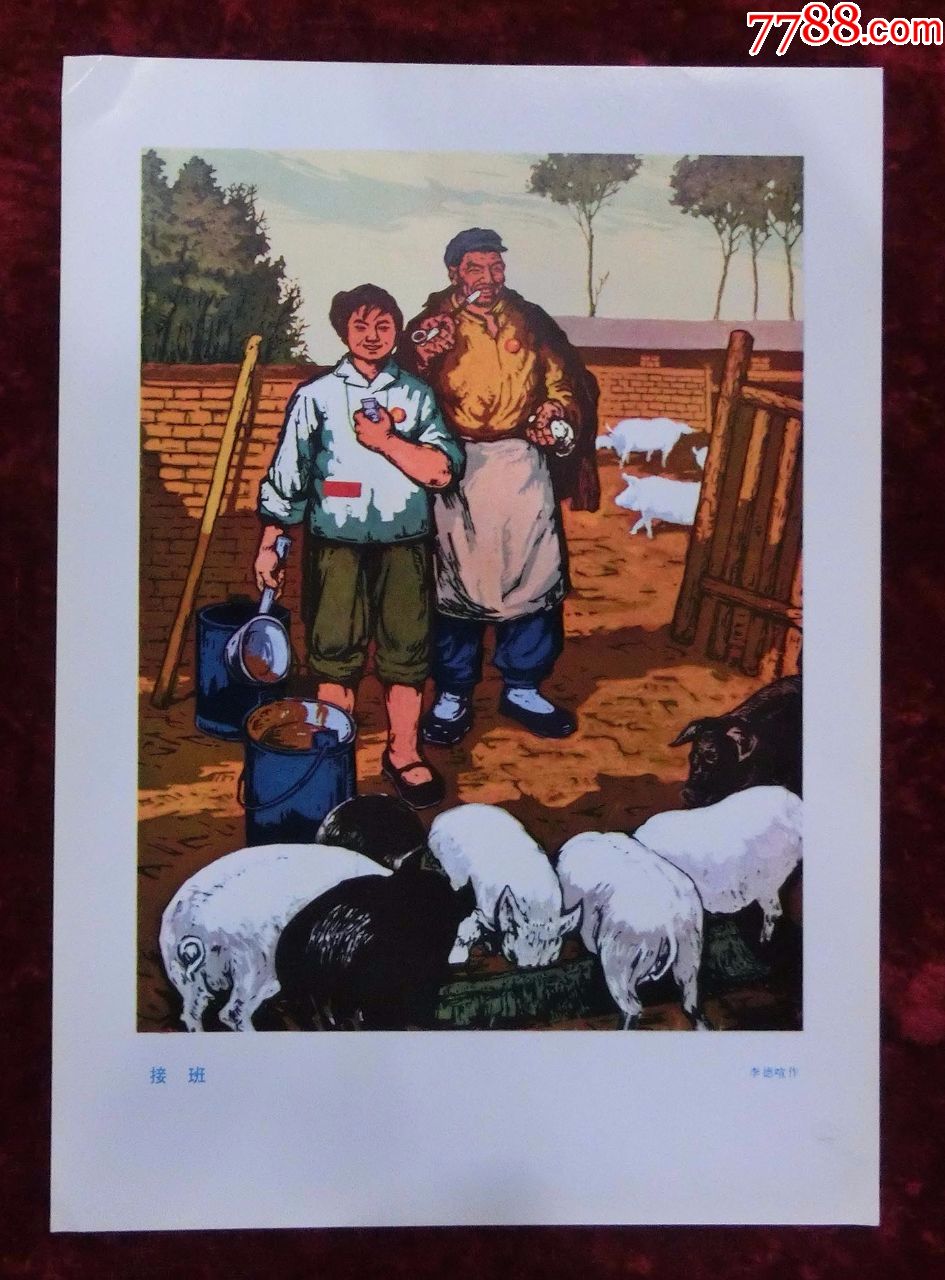 16开宣传画:接班(养猪)