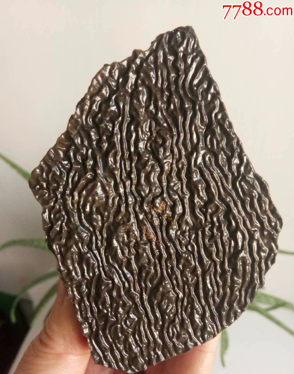 719克黑色纹路泥石(一对)_风砺石/戈壁石_可乐宝宝