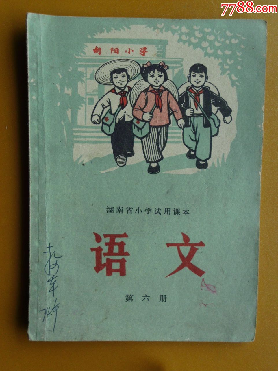湖南省小学试用课本语文----第六册