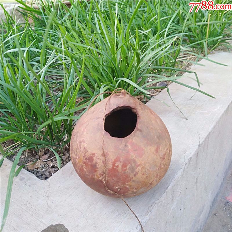 清代少见小号红润老包浆天然老葫芦辟邪镇宅福禄文玩装虫鸟食罐