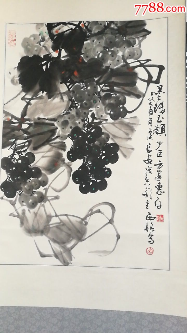 胡西铭葡萄