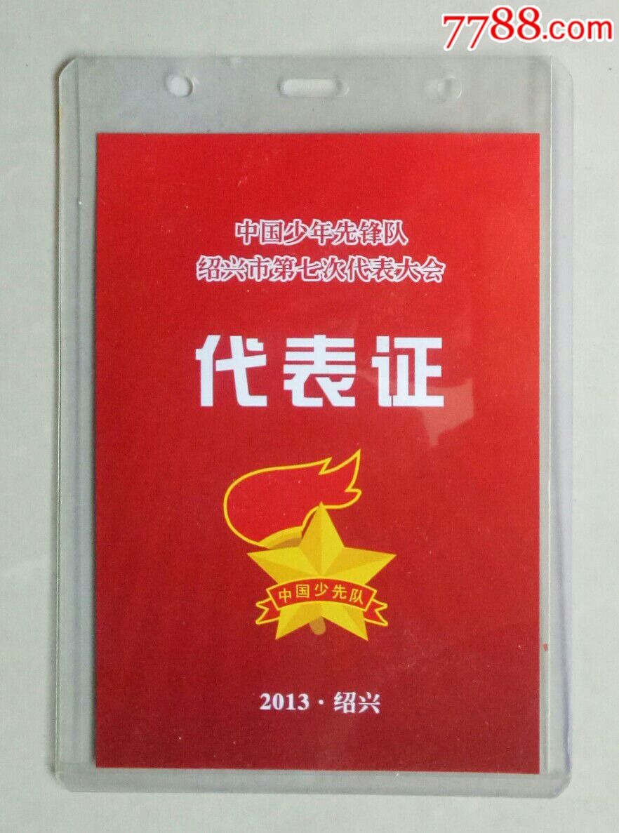 (2013年)中国少年先锋队绍兴市第七次代表大会代表证