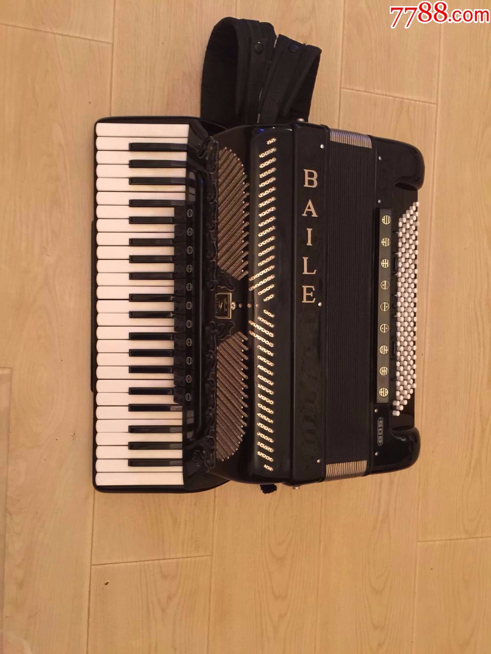 805回声自由低音手风琴
