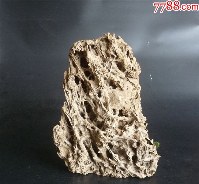天然假山-se58453583-贝壳摆件-零售-7788收藏__中国收藏热线