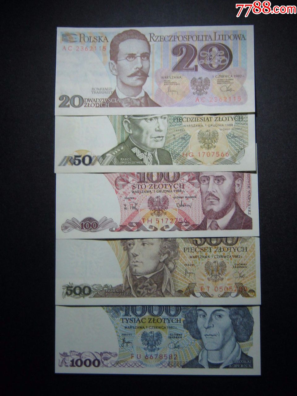 波兰钱币图片图片